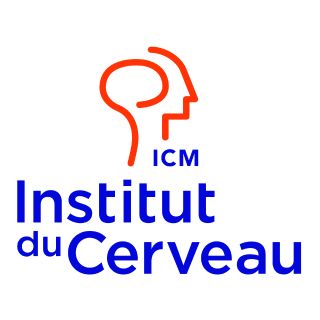 Institut du Cerveau